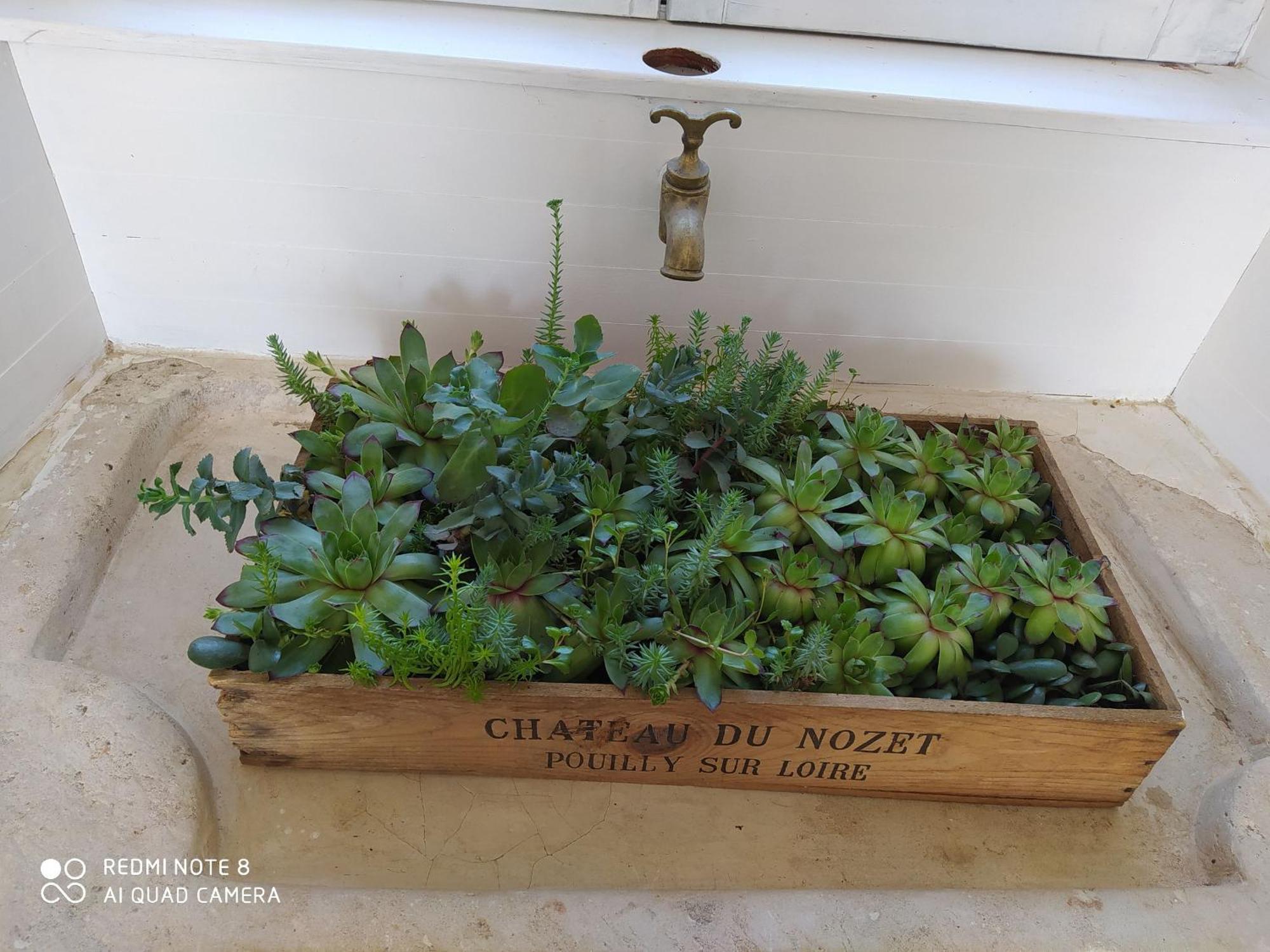 Gite Calme 4 Chambres, Terrasse Privative, Draps Inclus - Germonville - Fr-1-584-167 Eksteriør bilde