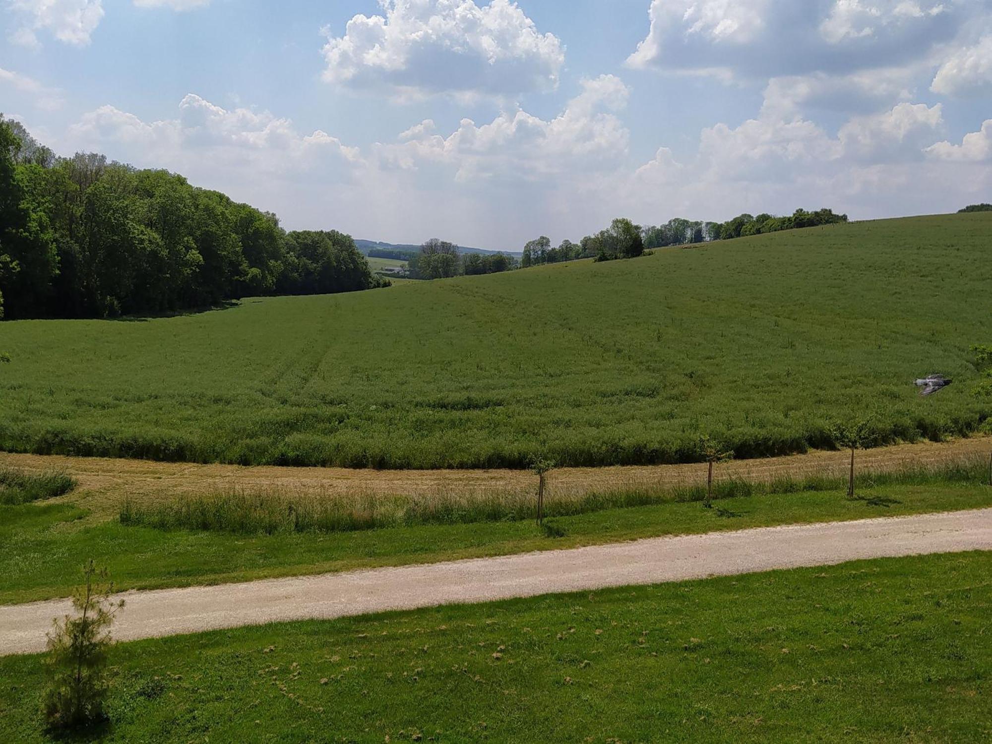 Gite Calme 4 Chambres, Terrasse Privative, Draps Inclus - Germonville - Fr-1-584-167 Eksteriør bilde